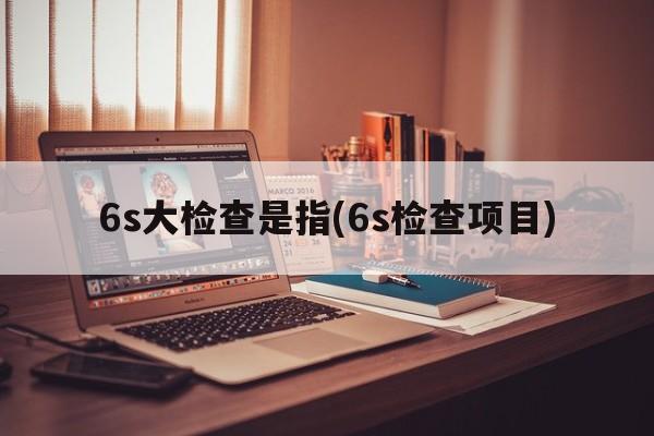 6s大检查是指(6s检查项目)